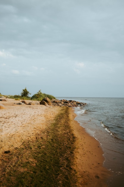 Beau paysage de la plage avec des éclaboussures de vagues