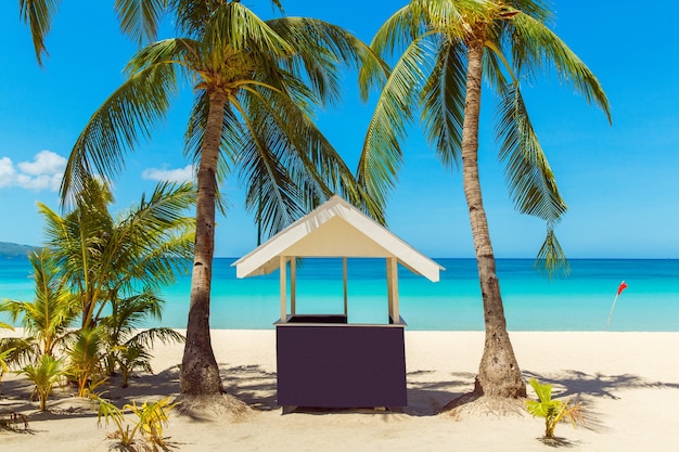 Beau paysage de plage tropicale sur l'île de Boracay, Philippines. Cocotiers, mer, voilier et sable blanc. Vue sur la nature. Concept de vacances d'été.