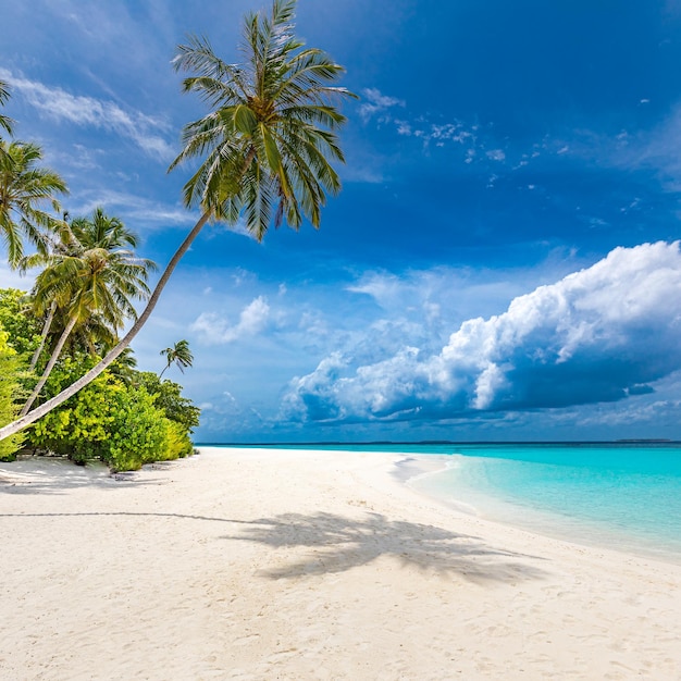 Beau paysage de plage Vacances d'été et concept de vacances Loisirs de détente tropicaux inspirants