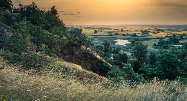 Beau paysage de prairies vertes et forêt d'été