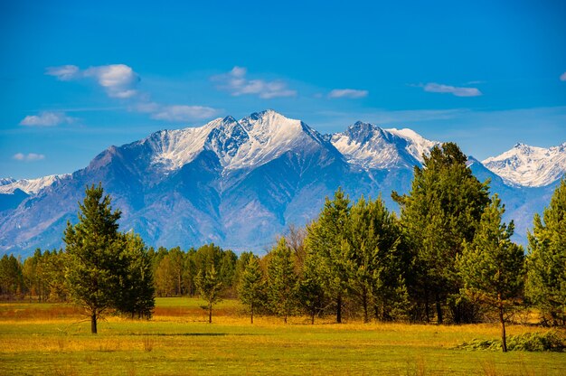 Beau paysage printanier des montagnes de l'ouest de Sayan.