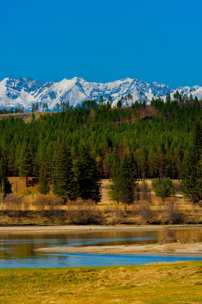 Beau paysage printanier des montagnes de l'ouest de Sayan.