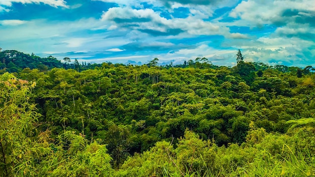 Un beau paysage qui rend l'oeil heureux de le voir