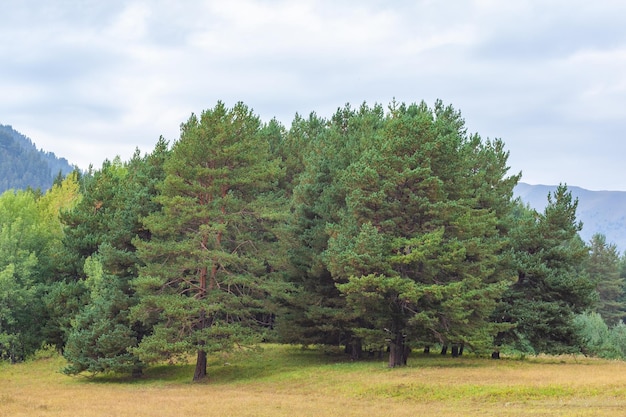 Beau paysage de la région montagneuse de Géorgie Touchétie Voyage