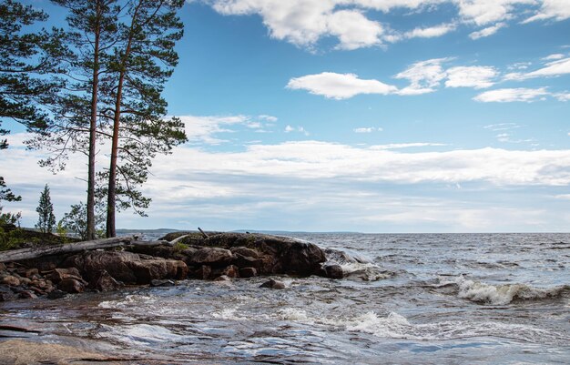 Beau paysage sur la rive du lac Ladoga avec des pierres et des pins à la journée ensoleillée du lac Ladoga Carélie