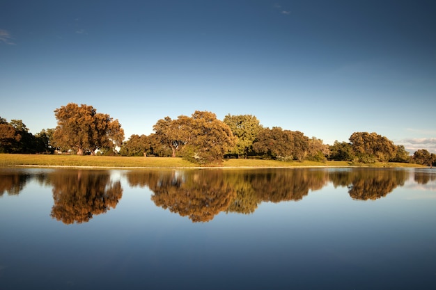 Beau paysage des rives d&#39;une rivière