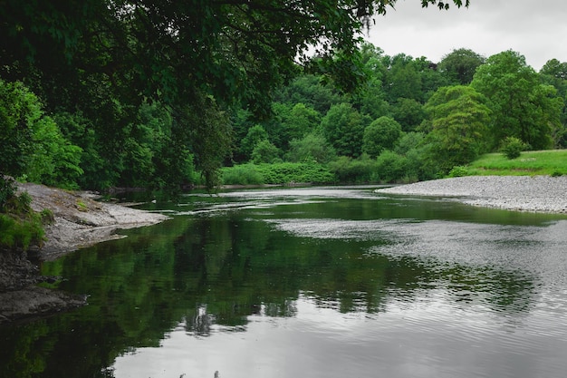 Beau paysage de rivière verte