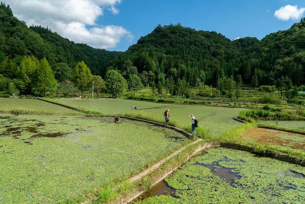 Beau paysage rural en Chine