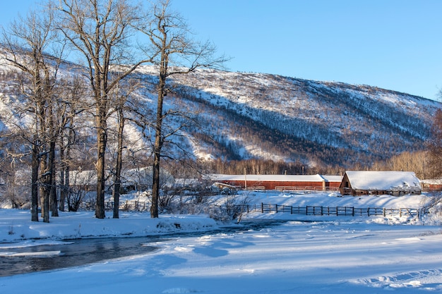 Beau paysage rural d'hiver