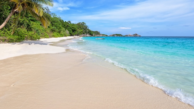 Beau paysage de sable de mer de noix de coco de ciel bleu et de vagues sur la plage pendant l'été à l'île de Koh Miang dans le parc national de Mu Ko Similan, province de Phang Nga, Thaïlande, écran large 16:9