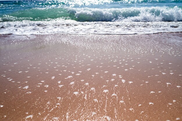 Beau paysage de sable et de mer