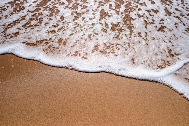 Beau paysage de sable et de mer