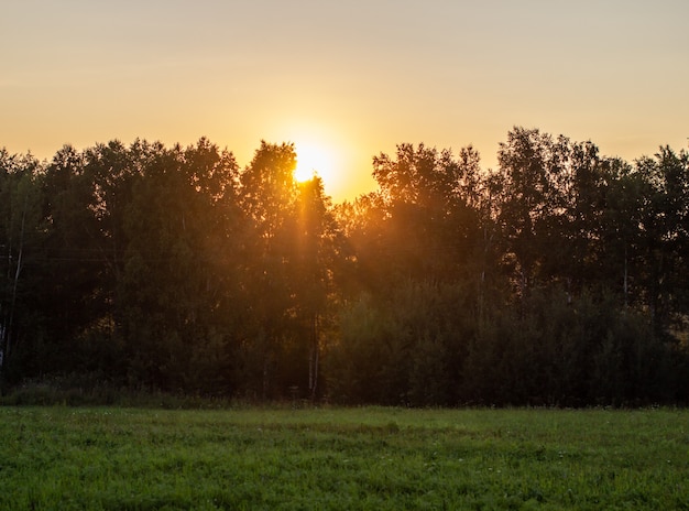 Beau paysage de soleil pendant le coucher du soleil se cachant derrière les arbres. Concept de beauté de la nature.