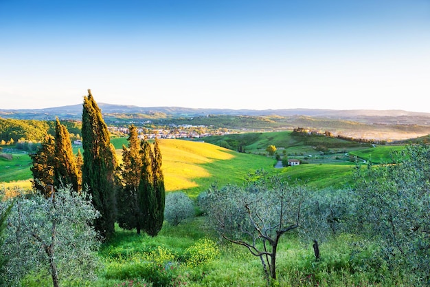 Beau paysage de Toscane, Province de Certaldo, Italie