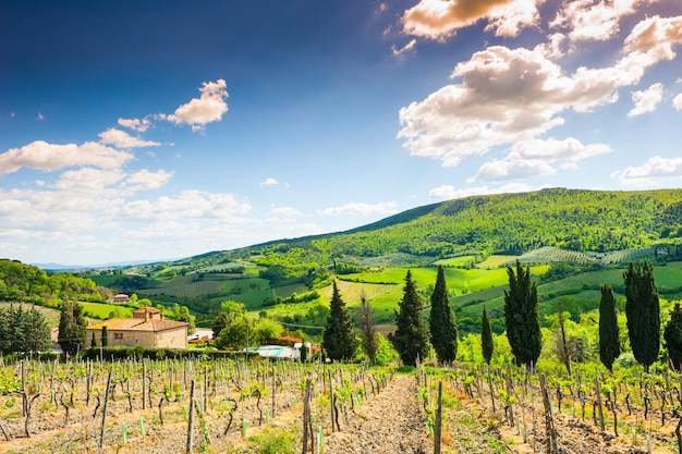 Beau paysage de Toscane, Province de Certaldo, Italie