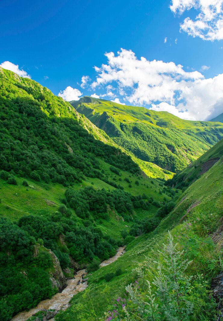 Photo beau paysage de vallée de montagne d'été