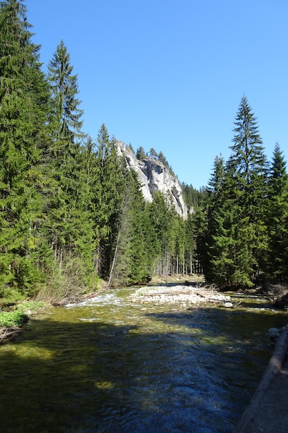 beau paysage de vallée de montagne