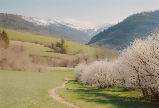 Beau paysage avec de la verdure