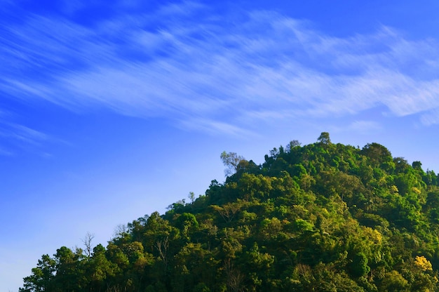 Beau paysage de vue de nuage à la montagne nord de la Thaïlande