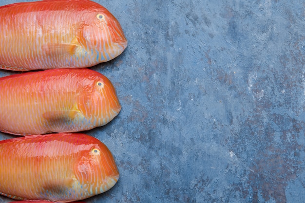 Beau poisson de mer rouge tropical Poisson-rasoir nacré sur fond bleu. Xyrichtys novacula, fruits de mer de la Méditerranée.