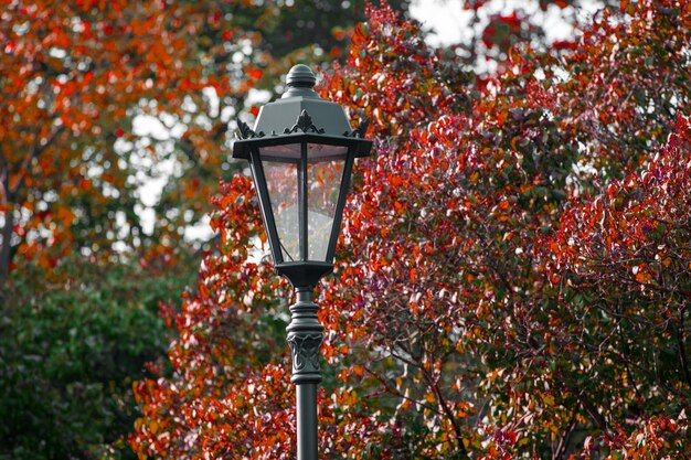 Beau réverbère dans le parc en automne. photo de haute qualité