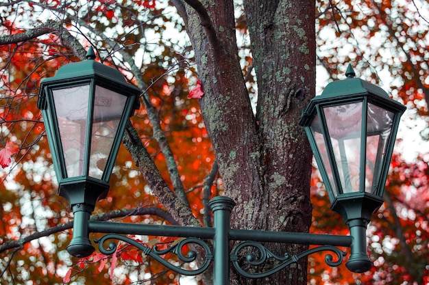 Beau réverbère dans le parc en automne. photo de haute qualité