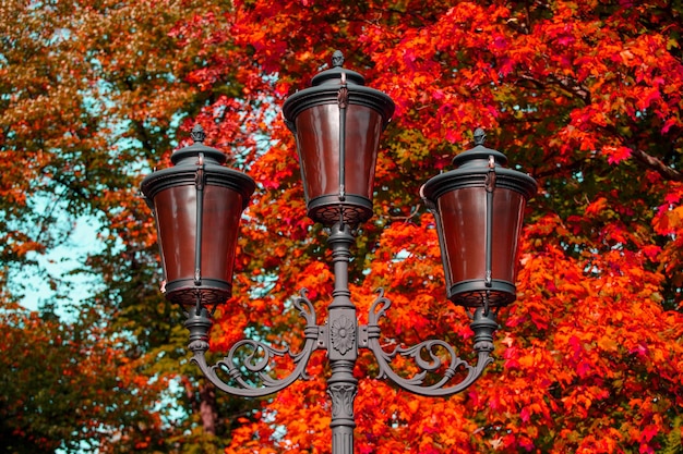 Beau réverbère dans le parc en automne. photo de haute qualité