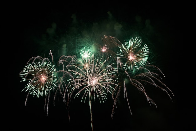 Beau salut et feux d'artifice avec le fond de ciel noir.