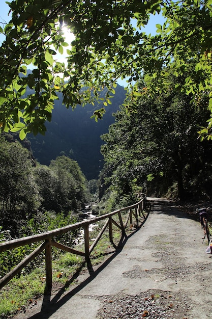 Le beau sentier sur le sentier de l'ours dans les Asturies