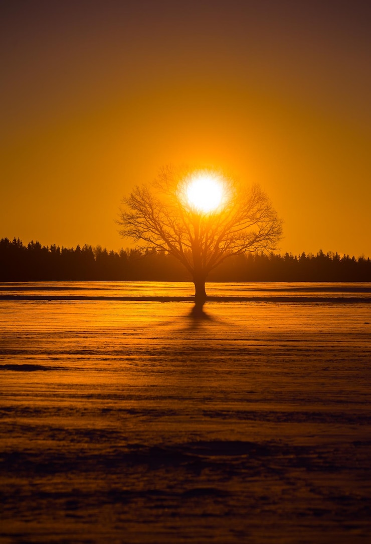 Photo un beau soleil levant en hiver