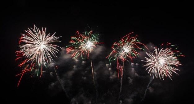 Beau spectacle de feux d'artifice pour la célébration