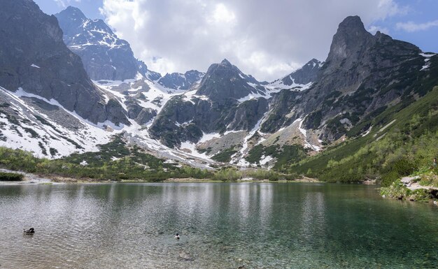 Beau tarn alpin verdâtre entouré de montagnes rocheuses avec de la neige restante Slovaquie Europe