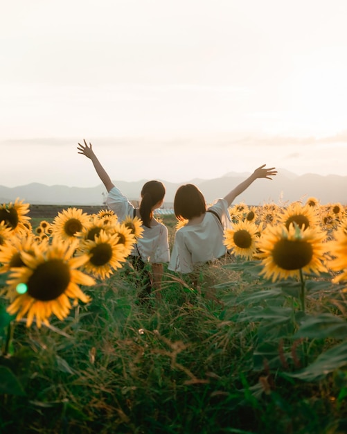 Le beau tournesol