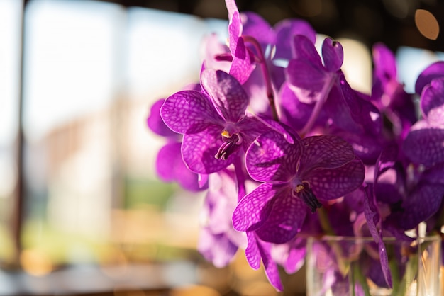 Beau vase d&#39;orchidées violettes sur table en bois au restaurant