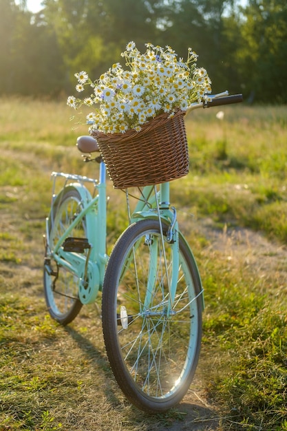 Beau vélo vintage avec un bouquet de fleurs sauvages dans un panier