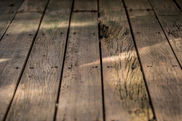 beau vieux fond de bois