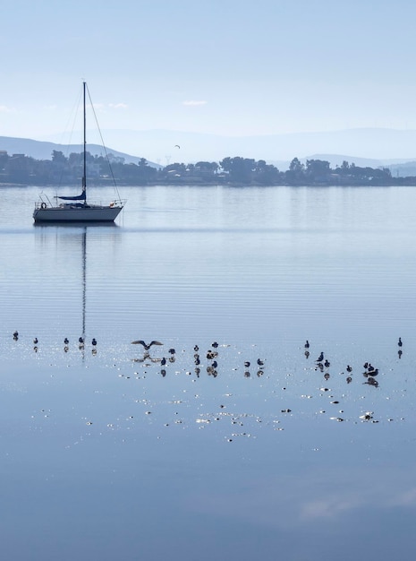 Beau yacht par une journée ensoleillée sur la mer Égée calme sur l'île d'Evia Grèce