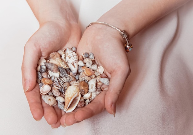 Beaucoup de beaux coquillages entre les mains de la fille