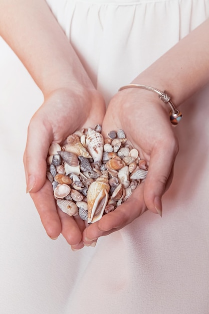 Beaucoup de beaux coquillages entre les mains de la fille