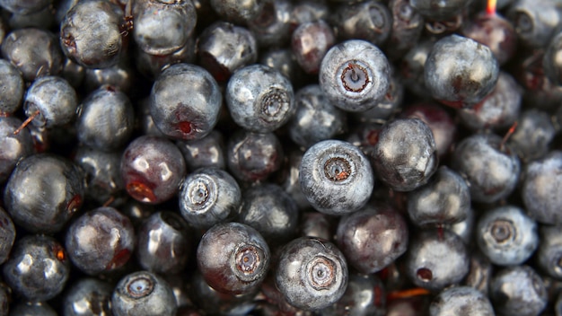 Beaucoup de bleuets frais agrandi. aliments sains vitaminés