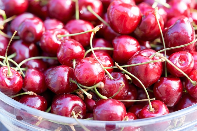 Beaucoup de cerises rouges mûres dans une assiette