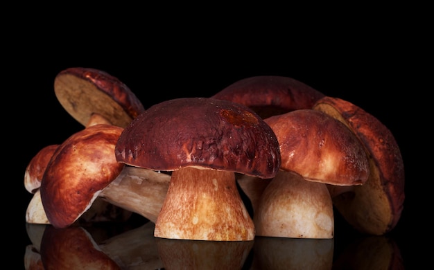 Beaucoup de champignons blancs isolés