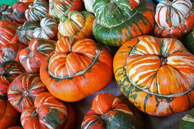 Beaucoup de citrouilles dans un magasin de légumes