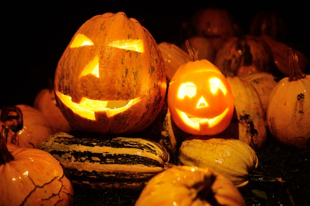 Photo beaucoup de citrouilles pour halloween