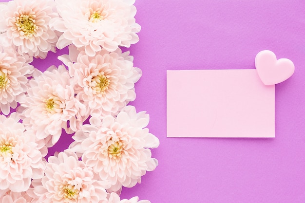 Beaucoup de fleurs de chrysanthème rose avec un centre jaune et un autocollant rectangulaire avec un clip coeur