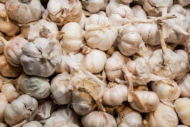 Beaucoup de fond d'ail frais commun Allium sativum L Beaucoup d'ail sur un plateau métallique