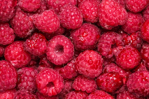 Beaucoup de framboises, de baies, vue de dessus