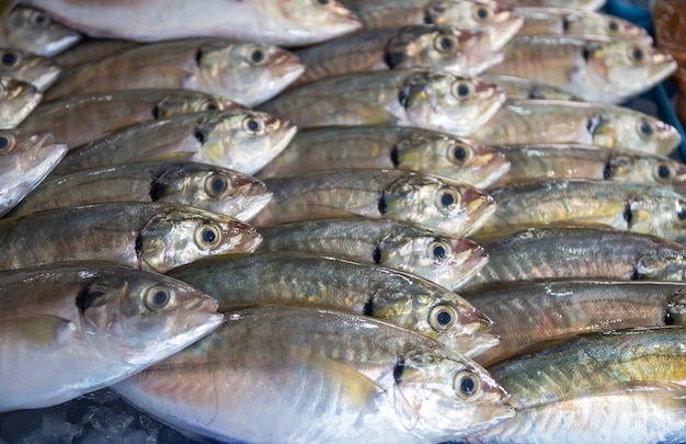 Beaucoup de fruits de mer de poisson frais dans le fond du marché intérieur