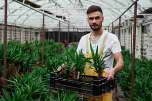 Photo beaucoup de palmas en arrière-plan. séduisante jeune barbu tient la boîte avec trois dracenas dans des vases.