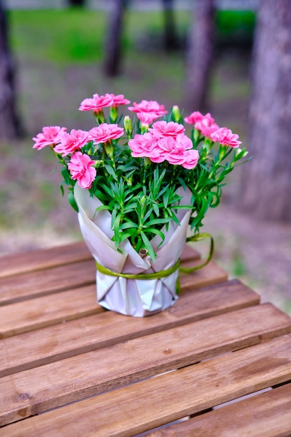 Beaucoup de petites clous de girofle roses dans un vase sur une table en bois à l'extérieur.